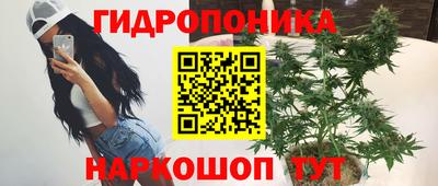 прущая мука Будённовск