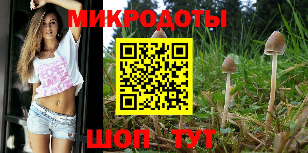 закладка  Псилоцибиновые грибы GOLDEN TEACHER  Вход с VPN  Галлюциногенные грибы Psilocybine cubensis  Мичуринск 